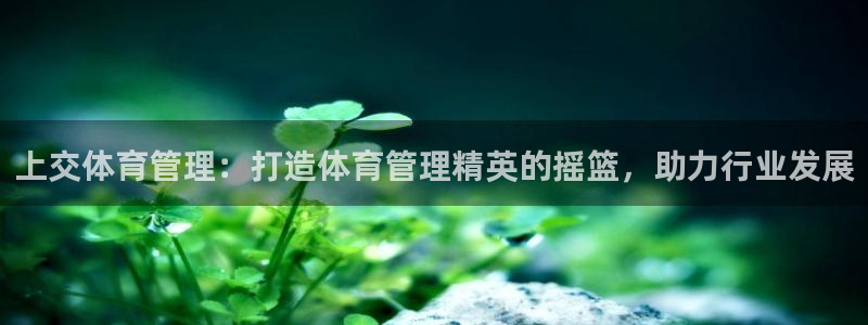 必一体育在线官网：上