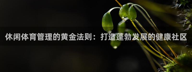 必一体育下载app下载